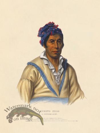 Spring Frog Cherokee